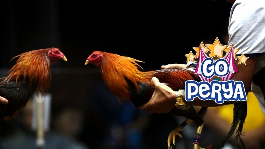 queen 777 online casino ubet63 free 100 download